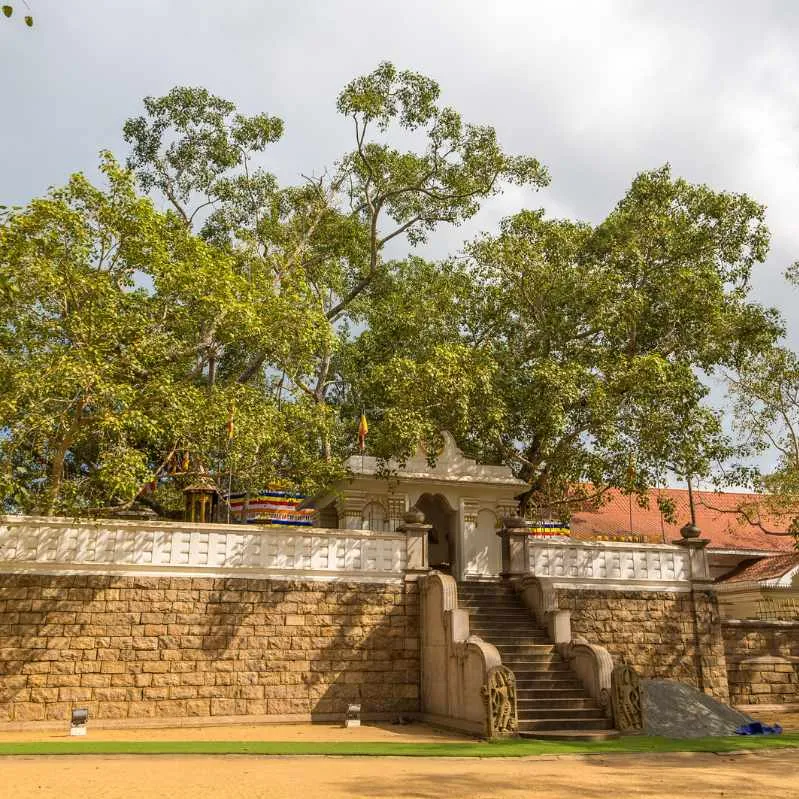 Anuradhapura