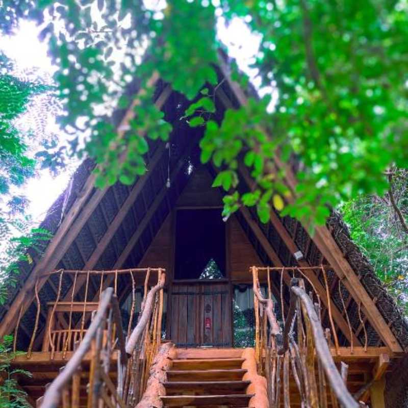 Habarana Tree House