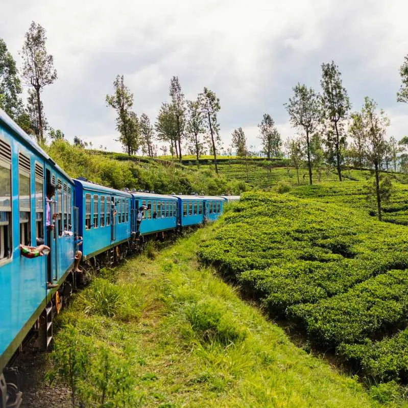 Train Ride